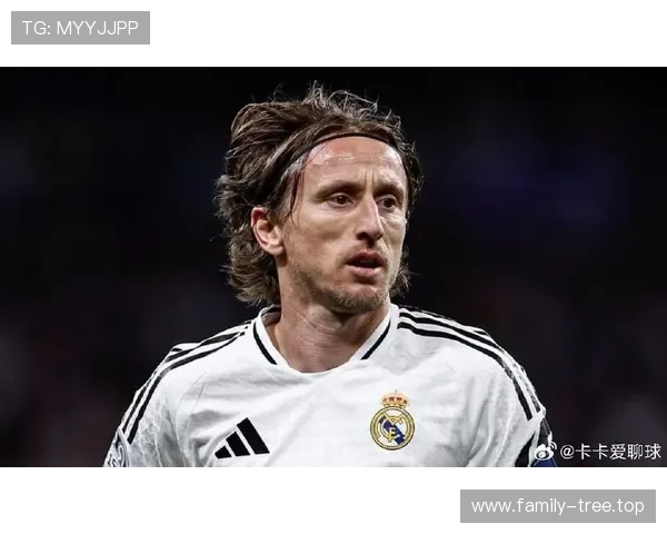 卡卡:莫德里奇对意大利足球的深远影响 卡卡:莫德里奇对意大利足球的深远影响