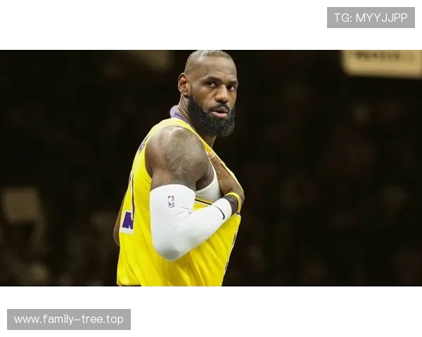 勒布朗低调高效吐槽裁判无奈 勒布朗低调高效吐槽裁判无奈