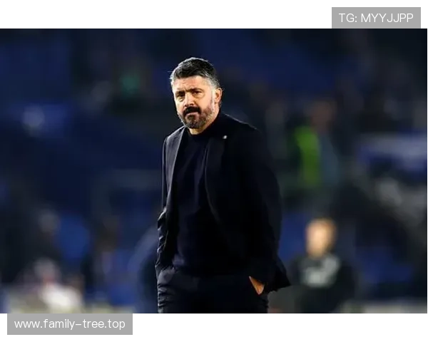 加图索离任意大利队 提前终止世界杯合同 加图索离任意大利队 提前终止世界杯合同